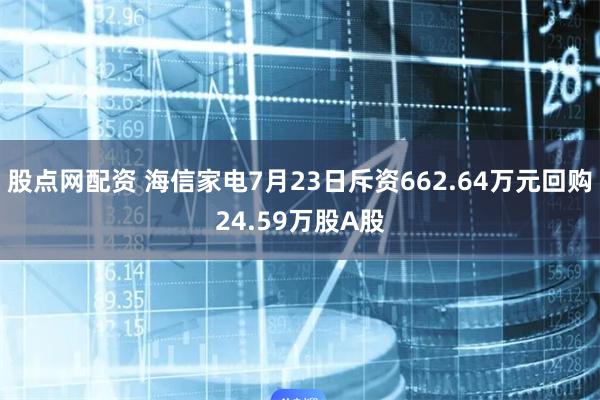 股点网配资 海信家电7月23日斥资662.64万元回购24.59万股A股