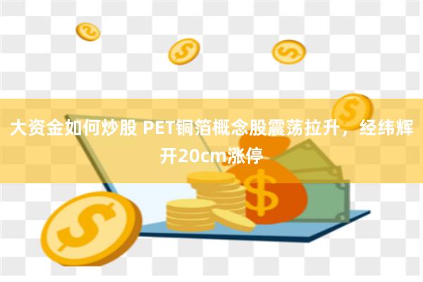 大资金如何炒股 PET铜箔概念股震荡拉升，经纬辉开20cm涨停