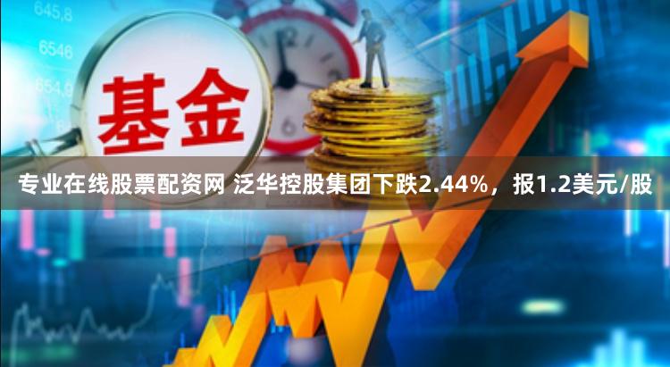 专业在线股票配资网 泛华控股集团下跌2.44%，报1.2美元/股