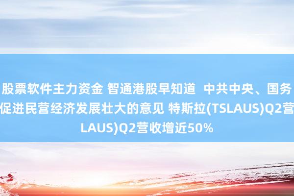 股票软件主力资金 智通港股早知道  中共中央、国务院发布关于促进民营经济发展壮大的意见 特斯拉(TSLAUS)Q2营收增近50%