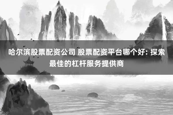 哈尔滨股票配资公司 股票配资平台哪个好: 探索最佳的杠杆服务提供商