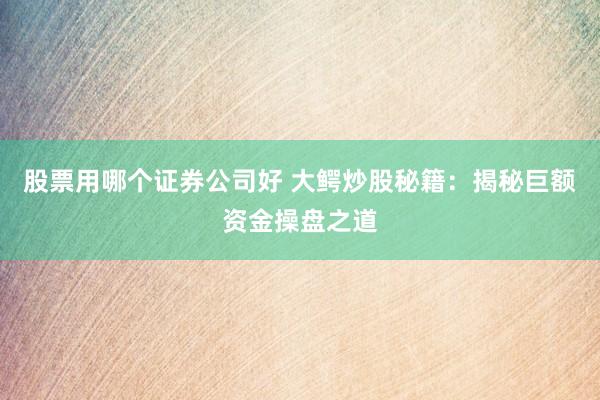 股票用哪个证券公司好 大鳄炒股秘籍：揭秘巨额资金操盘之道