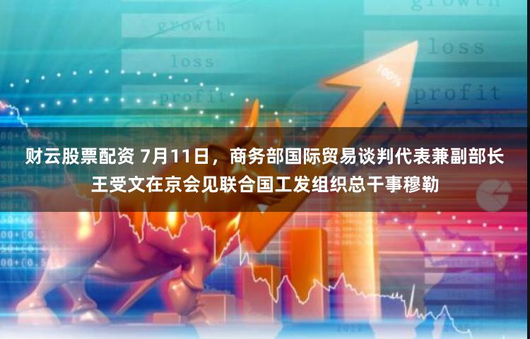 财云股票配资 7月11日，商务部国际贸易谈判代表兼副部长王受文在京会见联合国工发组织总干事穆勒